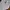 Streetwear Sportswear T-shirt Pria white photo 3