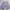 MLB Casual Short Pria purple photo 1