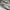 VAN Vintage Streetwear Sweatshirt Pria white gray photo 5