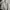 VAN Vintage Streetwear Sweatshirt Pria white gray photo 3