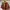 Japanese Brand Vintage Biker Parka Pria Multicolor