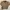 Vintage Streetwear Harrington Jacket Pria Tan Brown