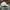 Casual Hat Pria white photo 4