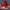 Nike Streetwear Sneakers Wanita red photo 1