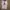 Umbro Vintage Sportswear Jersey Pria white photo 1