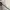 Umbro Vintage Sportswear Jersey Pria white photo 8