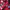 Adidas Vintage Sportswear Jersey Pria red black photo 4