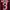 Adidas Vintage Sportswear Jersey Pria red black photo 6