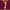 Nike Vintage Sportswear Jersey Pria burgundy photo 4