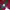 Nike Vintage Sportswear Jersey Pria burgundy photo 8