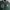GU Y2K Sportswear Bomber jacket Pria green photo 5