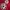 Nike Vintage Sportswear Jersey Pria red photo 5