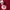Nike Vintage Sportswear Jersey Pria red photo 5