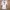Nike Vintage Sportswear Jersey Pria white photo 2
