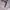 Nike Vintage Sportswear Jersey Pria white photo 4