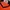 Nike Vintage Sportswear Jersey Pria orange photo 2