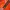 Nike Vintage Sportswear Jersey Pria orange photo 3