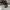 Salomon Gorpcore Sneakers Pria black photo 4