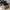 Salomon Gorpcore Sneakers Pria black photo 2