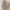 H&M Vintage Y2K Cami top Wanita tan cream photo 4