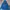 GAP Vintage Hoody Pria Blue