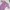 Fairy Casual Midi dress Wanita purple photo 2
