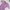 Fairy Casual Midi Dress Wanita Purple