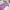 Fairy Casual Midi dress Wanita purple photo 1