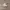 Nike Casual Sneakers Wanita white khaki photo 1