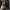 Japanese brand Streetwear Luxury Puffer jacket Pria black photo 7
