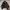Japanese brand Streetwear Luxury Puffer jacket Pria black photo 1