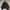 Japanese Brand Streetwear Luxury Puffer Jacket Pria Black