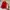 Starter Vintage Sportswear Bomber jacket Pria white red photo 1