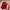 Starter Vintage Sportswear Bomber Jacket Pria White Red