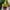 Starter Vintage Streetwear Bomber jacket Pria green khaki photo 2