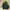 Starter Vintage Streetwear Bomber jacket Pria green khaki photo 7