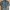 Timberland Casual Parka Pria Green