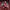 K2 Gorpcore Grunge Windbreaker Pria red gray photo 2