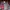 K2 Gorpcore Grunge Windbreaker Pria red gray photo 3