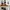 VANS Streetwear Sportswear Sneakers Pria white orange photo 1