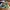 New Balance 574
Island Pack Mint
Size 36 photo 1