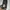 Bata Casual Sneakers Pria black photo 4
