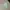 Hazzys Casual Hoody Pria green photo 1