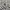 Quiksilver Streetwear Skater Casual shirt Pria white gray photo 5