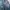 The North Face Sportswear Casual Track jacket Pria blue photo 4