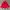 Casual Track jacket Pria red photo 2