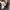Adidas Casual Sneakers Pria white black photo 6