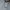 VANS Skater Hoody Pria gray photo 2