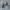 VANS Skater Hoody Pria gray photo 3