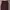 Vintage Casual Casual pants Pria burgundy photo 2